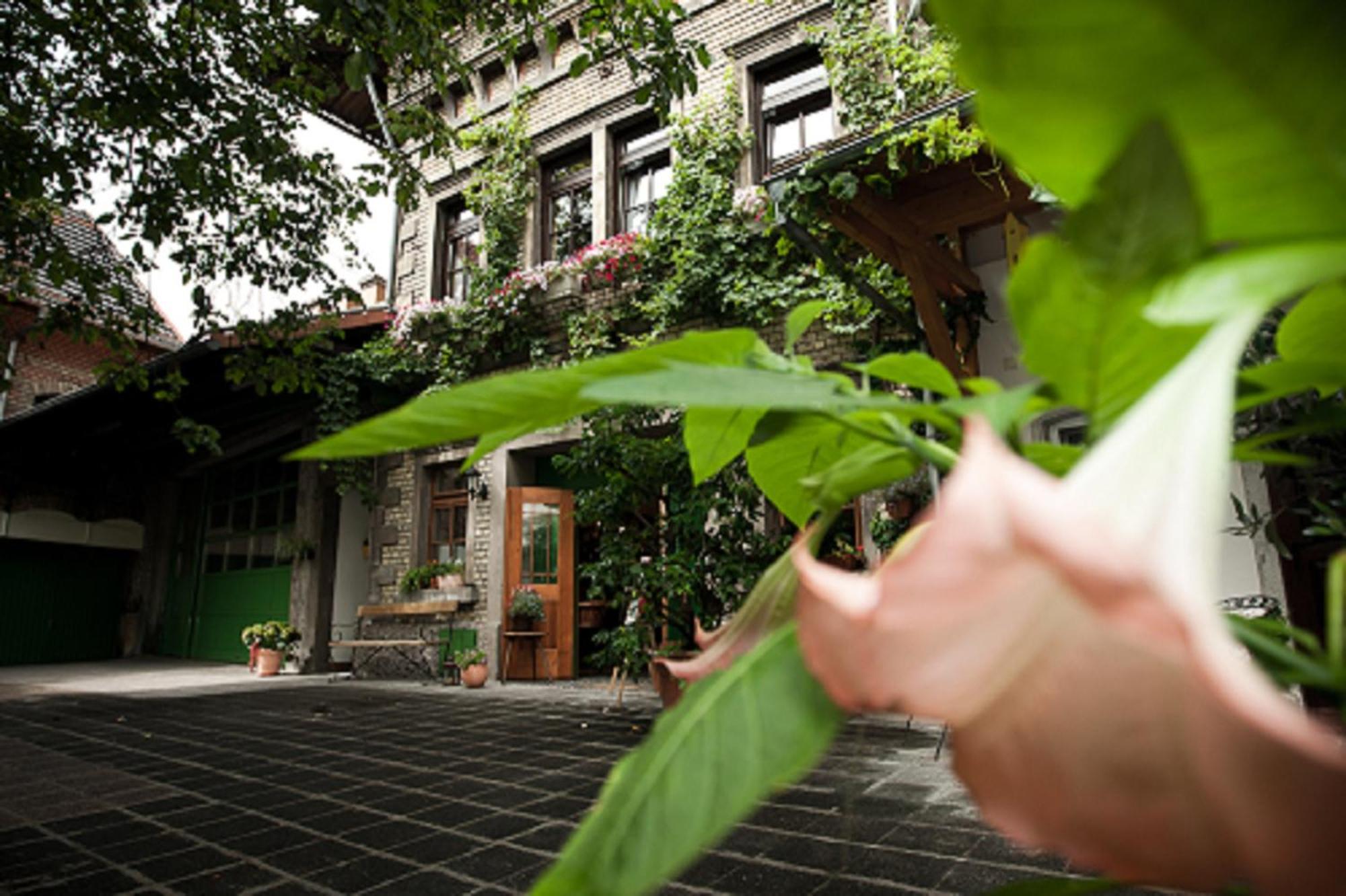 Gaestehaus Guntersblum Екстер'єр фото
