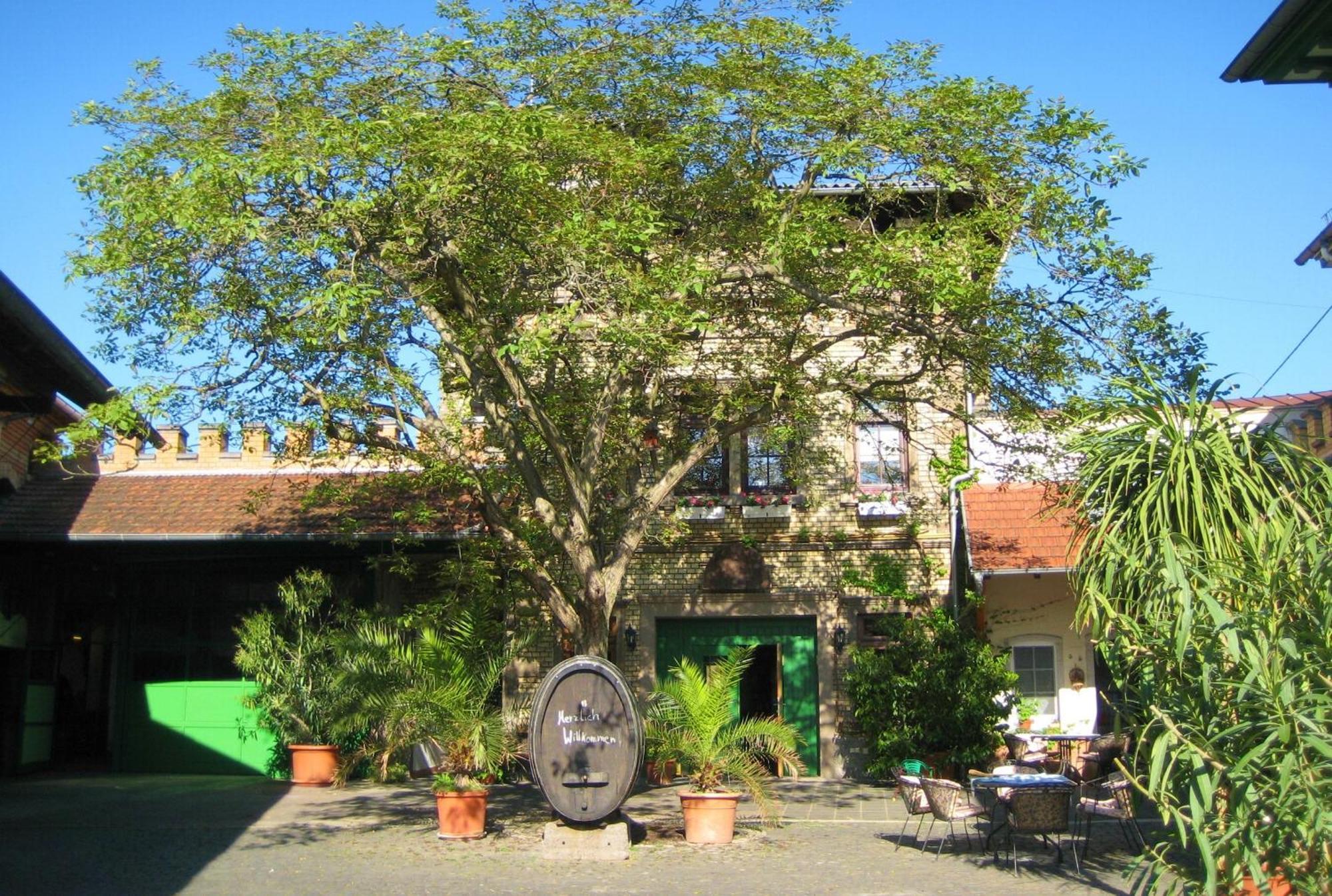 Gaestehaus Guntersblum Екстер'єр фото